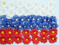 Цвигун Юлия, 11 лет, г. Благодарный
