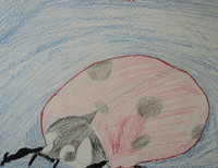 Попов Илья, 10 лет, г.Тамбов