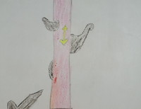 Михайленко Анастасия, 10 лет, г.Санкт-Петербург