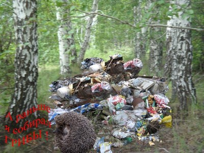 Ежик