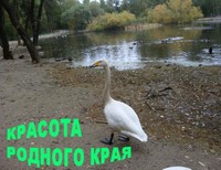 Бекреев Дима, 16 лет, Новосибирская область, Здвинский район, с. Здвинск