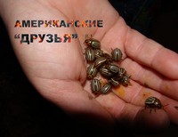 Бекреев Дима, 16 лет, Новосибирская область, Здвинский район, с. Здвинск