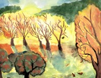 Гладких Екатерина, 14 лет