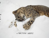 Смагина Дарья, 13 лет, Сельцо