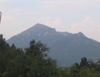 Литвинёнок Мария, 14 лет, пос.Волочаевское