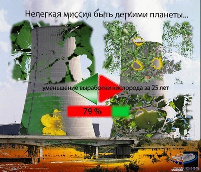коллаж на экологическую тему