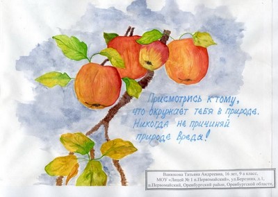 Присмотрись к тому, что окружает тебя в природе. Никогда не приченяй природе вреда