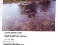 Свиридова Василиса 17 лет с. Гороховка