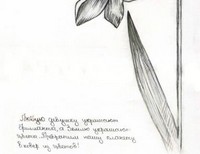 Кучевласова Екатерина 13 лет ГОУ Кочетовский десткий дом ст.Кочетовская