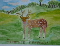 Фомина Мария,15 лет,Оренбургская обл. Оренбургский р-он, п. Первомайский, ул. Березина МОУ Лицей №1 п. Первомайский