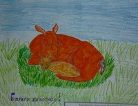 Корченкова Анастасия,12 лет,Оренбургская обл. Оренбургский р-он, п. Первомайский, ул. Березина МОУ Лицей №1 п. Первомайский