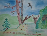Фур Кристина,14 лет,МОУ СОШ п. Замковская ул. Школьная. 8