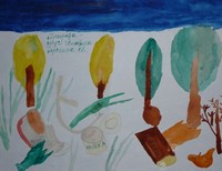 Касьян Максим,12 лет,МОУ СОШ п. Замковская ул. Школьная. 8