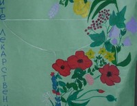 Щукина Татьяна,11 лет,Калининская обл. г. Советск, ул. Тимирязева, 20. МОУ лицей №5