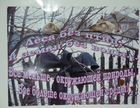 Артемьева Дарья,14 лет,Кемеровская обл., Прокопьевский р-он, п.Севск, ул. Советская, 1. МОУ Севский детский дом