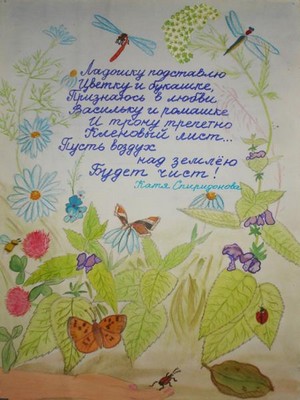 Цветущая поляна
