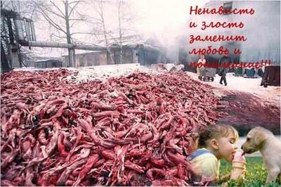 Взаимопонимание