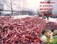 Самсонюк Ольга Викторовна, 16 лет, Федотова Елизавета, 16 лет, Сочи