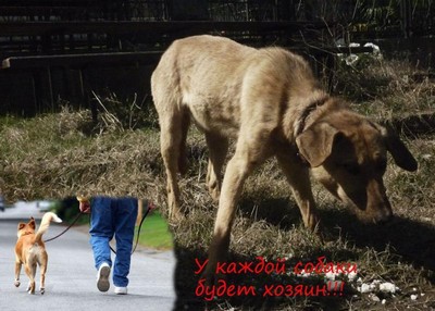 Забота