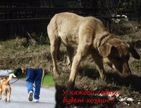 Самсонюк Ольга Викторовна, 16 лет, Федотова Елизавета, 16 лет, Сочи