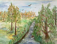 Башлыкова Нина, 14 лет, С.Матвеевка