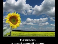 Ковжогин Роман, 8 класс, с.Шаблиевка