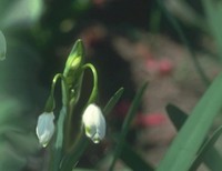 Гында Кристина, 17 лет, село Кагальник