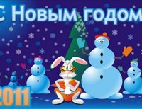 Никитина Арина 13 лет, г.Саратов